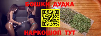 индика Кинель
