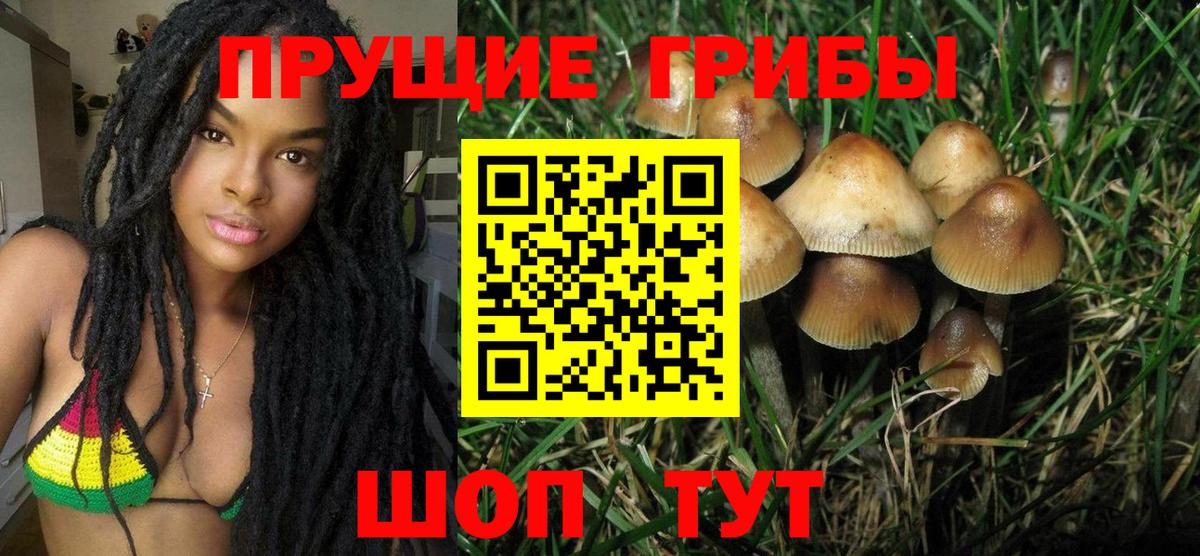 Кохма  Псилоцибиновые грибы Magic Shrooms  магазин продажи наркотиков  Вход с VPN 
